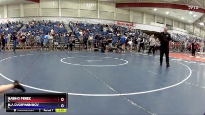 165 lbs Cons. Round 4 - Gabino Perez, IL vs Ilia Dvoryannikov, IL