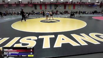 207 lbs Semifinal - Sara Lake, Lindenwood University vs Riley Dempewolf, Indiana Tech