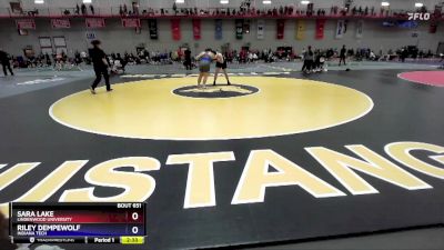 207 lbs Semifinal - Sara Lake, Lindenwood University vs Riley Dempewolf, Indiana Tech