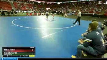 D1-145 lbs Cons. Round 2 - Brett Skaug, Brookfield East vs Gabriel Ramos, Wausau West