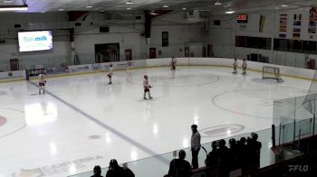 Replay: Home - 2025 Mustangs U18 A vs ND Hounds U18 A | Jan 28 @ 7 PM