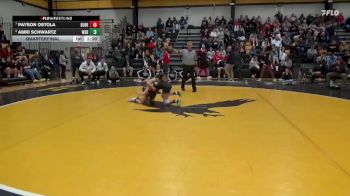 100 lbs Quarterfinal - Payson Ostola, Dubuque Hempstead vs Amri Schwartz, Waverly-Shell Rock