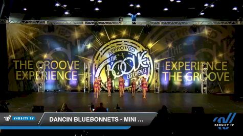 Dancin Bluebonnets - Mini Lyrical [2019 Mini - Contemporary/Lyrical - Small Day 2] 2019 Encore Championships Houston D1 D2