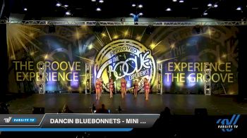 Dancin Bluebonnets - Mini Lyrical [2019 Mini - Contemporary/Lyrical - Small Day 2] 2019 Encore Championships Houston D1 D2