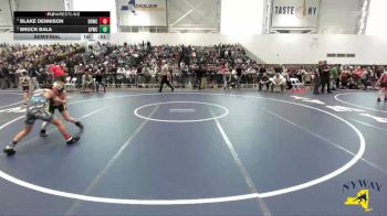 83 lbs Semifinal - Brock Bala, Adirondack Youth Wrestling Club vs Blake Dennison, Deep Roots Wrestling Club