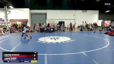 97 lbs Quarters & 1st Wb (16 Team) - Colton Schultz, Illinois vs Logan Barry, Rhode Island Gold