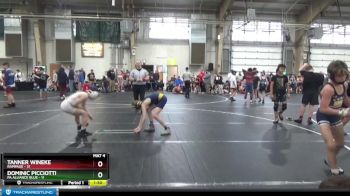 84 lbs Round 3 (6 Team) - Dominic Picciotti, PA Alliance Blue vs Tanner Wineke, Rampage