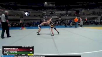 95 lbs Placement (4 Team) - Elijah Mercado, St. Peter vs Andrew Sandau, NLS (New London/Spicer)