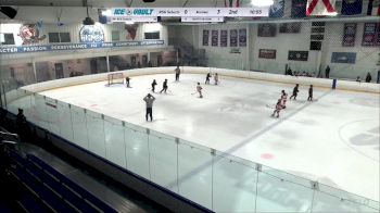 Replay: Home - 2024 RSG Mite vs Arrows Major Mite | Feb 18 @ 11 AM