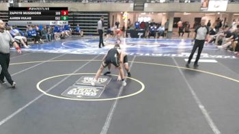 139 lbs Semis & 1st Wrestleback (8 Team) - Aaren Kulas, Caledonia, MN vs Zaphyr Musshorn, Xavier, CT