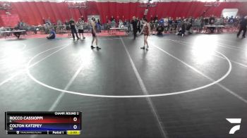 113 lbs Champ. Round 2 - Rocco Cassioppi, IL vs Colton Katzfey, WI