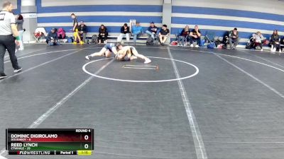 96 lbs Round 4 (8 Team) - Reed Lynch, CTWHALE vs Dominic DiGirolamo, Doughboy