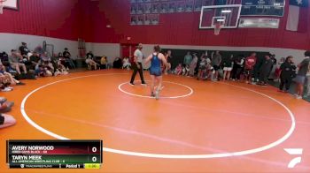 165 lbs Round 5 (8 Team) - Avery Norwood, Hired Guns Black vs Taryn Meek, All American Wrestling Club