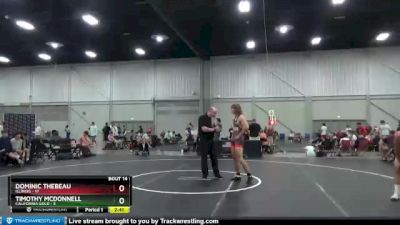 182 lbs Placement Matches (8 Team) - Dominic Thebeau, Illinois vs Timothy McDonnell, California Gold