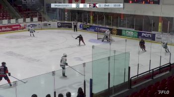 Replay: Home - 2025 Ice White U15 vs Steelers | Mar 9 @ 2 PM