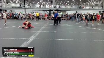 80 lbs Round 5 (6 Team) - Landon Sturgell, CP Elite vs Riley Crandall, Steller Trained Mantis