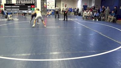 139 lbs Consy 6 - Tanner Hamilton, Grove City vs Aiden Herndon, Cedar Cliff