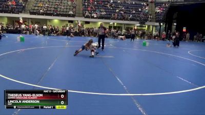 45 lbs Round 3 - Theseus Yang-Elson, Summit Wrestling Academy vs Lincoln Anderson, DGF