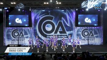 Buckeye Cheer Elite - Swag Cats [2024 L1 Junior - D2 - Small DAY 1] 2024 COA Grand Nationals
