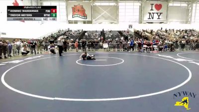 85 lbs Champ. Round 2 - Dominic Wandersee, Purple Eagles Wrestling Academy vs Trevor Meyers, Whitney Point Youth Wrestling Club