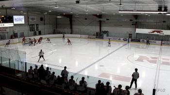 Replay: Home - 2025 Rebels U18 AAA vs ND Hounds U18 (G) | Feb 6 @ 7 PM