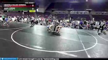 W-117 lbs Quarters & 1st Wb (16 Team) - Hope Horan, North Carolina vs Adacelli Salaiz-Noriega, Arizona