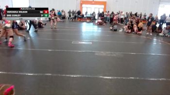 128 lbs Round 2 (4 Team) - Bre Corley, Team Palmetto Purple vs Veronika Wilson, NC Girls Wrestling Club