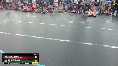 64 lbs Quarterfinal - William Cheney, Tallahassee War Noles vs James Catapano, VHW