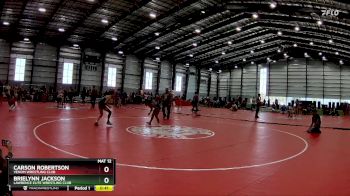 97 lbs Semifinal - Brielynn Jackson, Lawrence Elite Wrestling Club vs Carson Robertson, Venom Wrestling Club