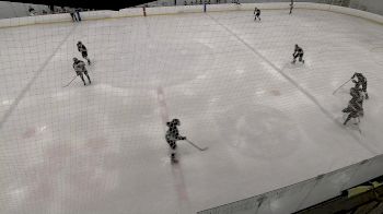 Replay: Home - 2024 RAD Hockey Black vs Gotta | Jul 25 @ 12 PM