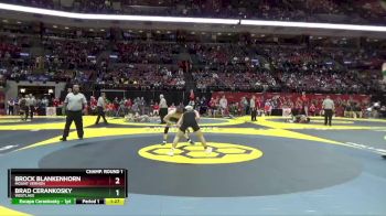 D1-106 lbs Champ. Round 1 - Brad Cerankosky, Westlake vs Brock Blankenhorn, Mount Vernon