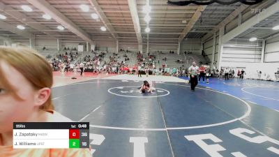 95 lbs Rr Rnd 1 - Jaxon Zapatoky, Mat Assassins Gray vs James Williams, Upstate Uprising White