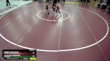 61 lbs Round 2 - Henry Erickson, Forest Lake Wrestling Club vs Kaikane Andrade, Minnesota