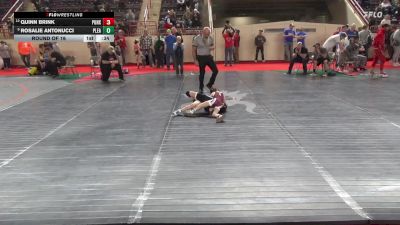 45_G lbs Round Of 16 - Quinn Brink, Punxsutawney vs Rosalie Antonucci, Pleasant Valley