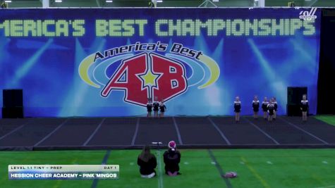 Hession Cheer Academy - Pink Mingos [2025 L1.1 Tiny - PREP Day 1] 2025 America's Best Indy Challenge