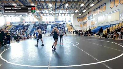 175 lbs Quarterfinals (8 Team) - Breyen Rodriguez, Hernando vs Tre Driggett, Merritt Island