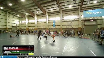 95 lbs Round 2 - Mercer Hamilton, Washington vs Dean Baldridge, Alaska