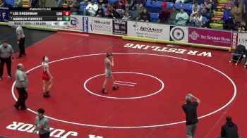 110 lbs Quarterfinal - Lee Dreshman, Canon-McMillan vs Jamison Forrest, Bishop McCort