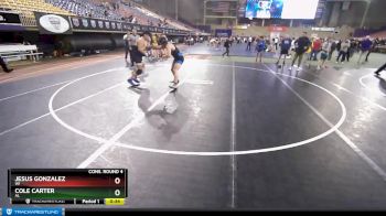 220 lbs Cons. Round 4 - Cole Carter, AL vs Jesus Gonzalez, WI