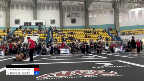 Joana Rodrigues Dos Anjos TFT - vs Letícia Tesche ASTRA FIGHT TEAM- 2025 ADCC Brazilian Nationals