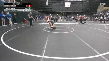 141 lbs Champ. Round 3 - Daryl Mills, Missouri Baptist University vs Luke Fogleman, Grand View (Iowa)