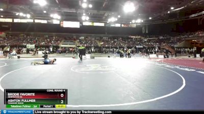 106 lbs Cons. Round 4 - Ashton Fullmer, Thunder Ridge vs Brodie Favorite, Hermiston HS