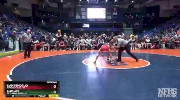 113 lbs Semis & 1st Wrestleback (8 Team) - Liam Fenoglio, Yorkville (H.S.) vs Liam Aye, St. Charles (East)