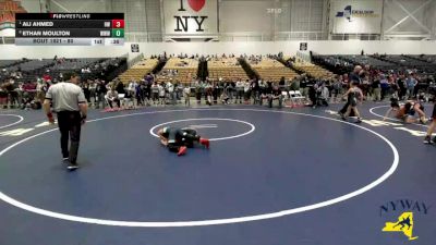 80 lbs Cons. Round 5 - Ethan Moulton, Warrior Warehouse Wrestling vs Ali Ahmed, HF-L Wrestling