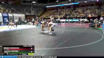 145 lbs Champ. Round 1 - Brock Woodcock, St. Clair vs Triston Switzer, Clinton