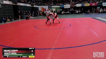 145 lbs Cons. Round 1 - BRANDT STEINER, Wasilla High School vs Wesley Niegel, Student Wrestling Development Program