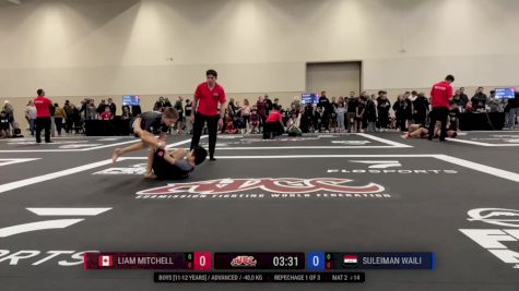 Liam Mitchell vs Suleiman Waili 2025 ADCC Niagara Open