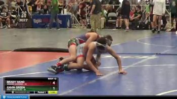 105 lbs Round 4 (6 Team) - Gavin Green, East Coast Elite vs Brady Hand, Virginia Hammers