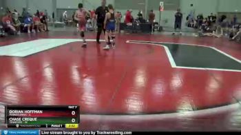 106 lbs Quarters & 1st Wb (16 Team) - Dorian Hoffman, Pennsylvania vs Chase Creque, Tennessee