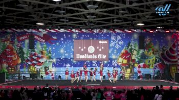 Woodlands Elite - Magnolia - Apaches [2024 L2 Youth - A] 2024 Spirit Celebration Christmas Grand Nationals